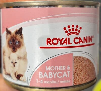 Comida Húmida Gato Royal Canin Mother & Babycat